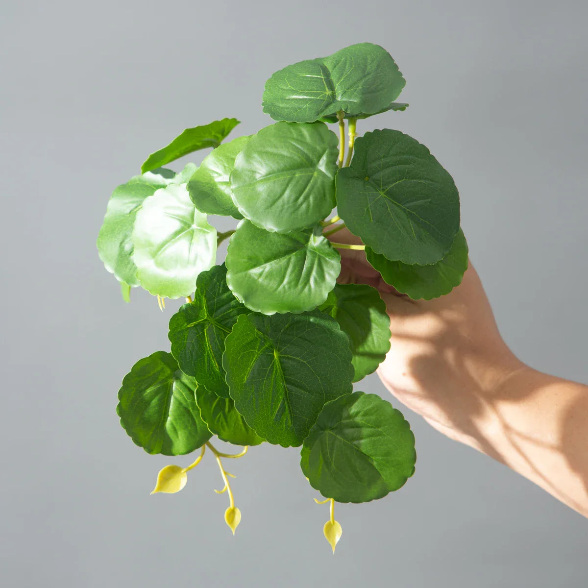 Dlight Decor 25cm Monstera Leaf Vine for Desktop and Holiday Decor D