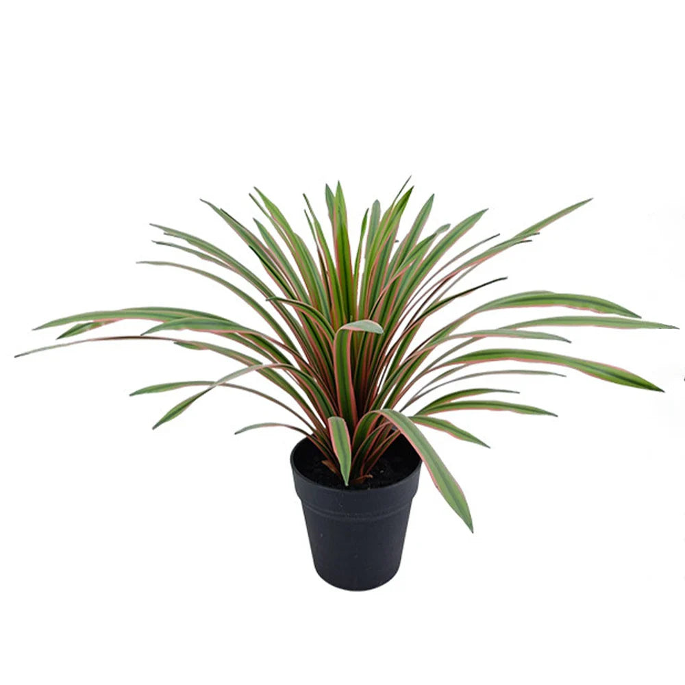 Dlight Decor Chlorophytum Grass Plant for Desktop and Indoor Styling