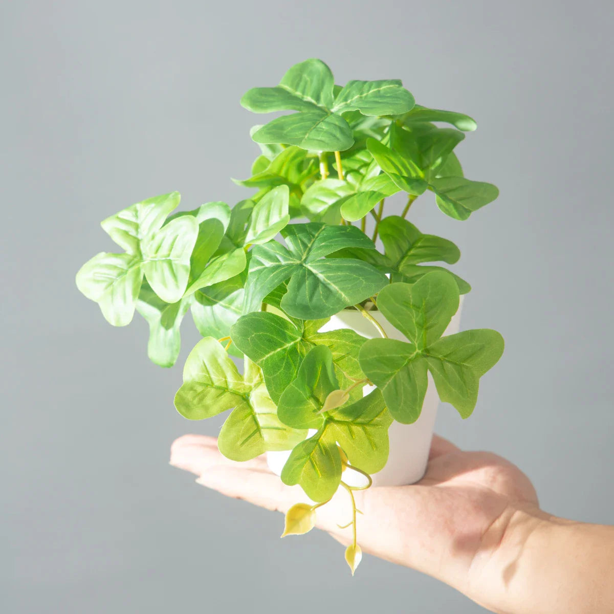 Dlight Decor 25cm Monstera Leaf Vine for Desktop and Holiday Decor