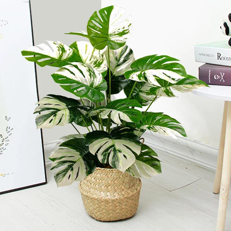 Dlight Decor Monstera Turtle Leaf Plant for Indoor and Garden Display