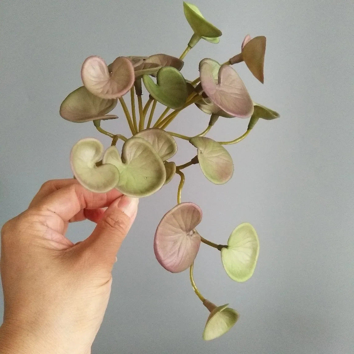 Dlight Decor 15cm Lucky Grass Foliage Bouquet for Home and Bonsai Decor