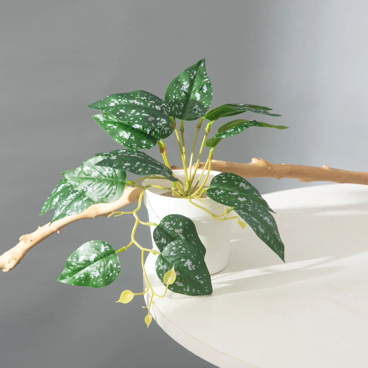 Dlight Decor 25cm Monstera Leaf Vine for Desktop and Holiday Decor