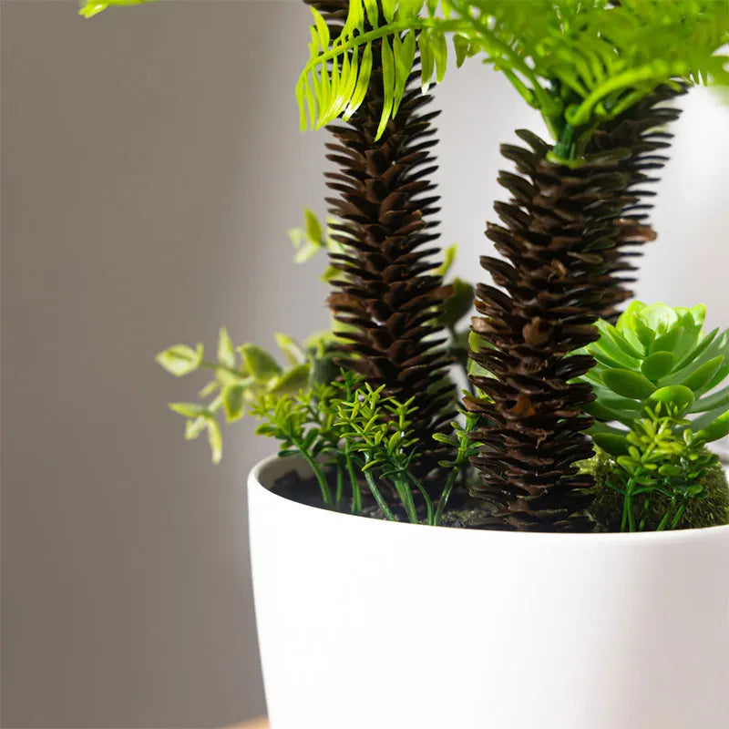 Dlight Decor Potted Palm Plant 33cm or 40cm with Succulents