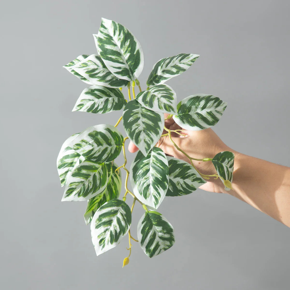 Dlight Decor 25cm Monstera Leaf Vine for Desktop and Holiday Decor B