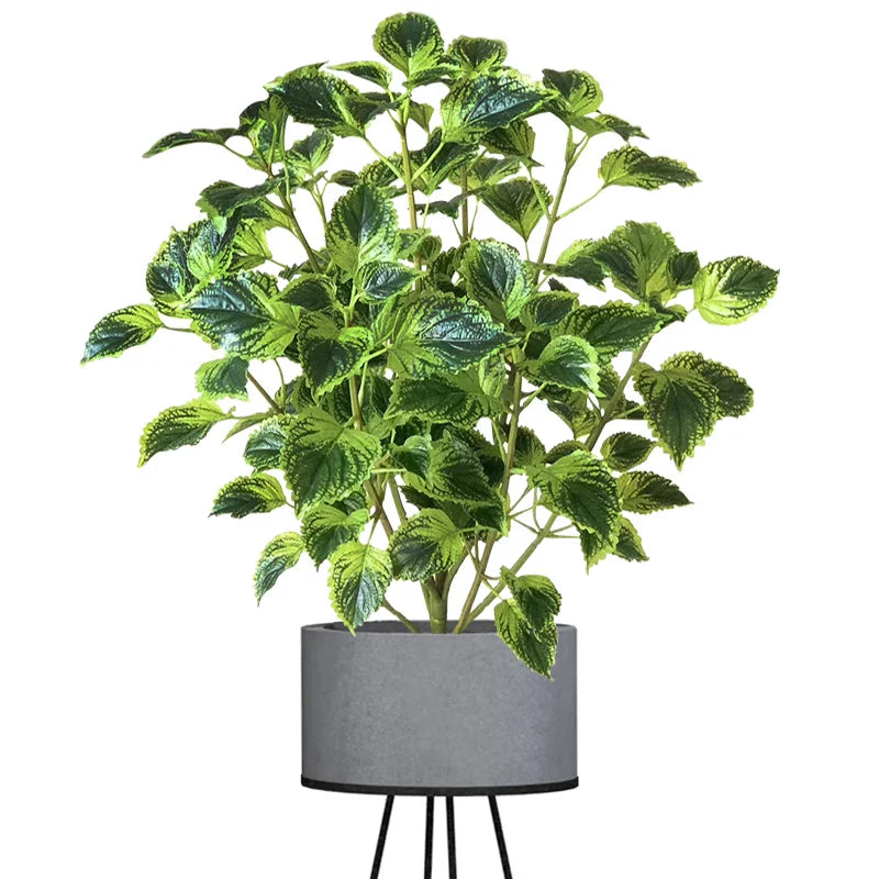 Dlight Decor Eucalyptus Tree for Tropical Indoor Floor Styling