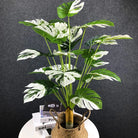 Dlight Decor White Monstera Palm for Bold Floor Styling