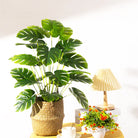 Dlight Decor Monstera Palm Plant for Home and Outdoor Styling A