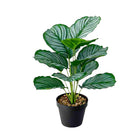 Dlight Decor 43cm Monstera Turtle Leaf Palm Branch for Home and Garden Decor