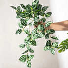 Dlight Decor Scindapsus Vine for Wall Hanging and Garden Styling 45cm E