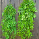 Dlight Decor 105cm Hanging Bamboo Leaf Vine for Garden and Home Wall Decor