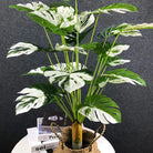 Dlight Decor Monstera Turtle Leaf Plant for Indoor and Garden Display