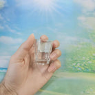 Dlight Decor 6pc Mini One-Sip Glass Set for Tea & Wine 20ml / 6pcs Cocktail Glasses