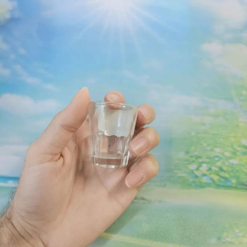 Dlight Decor 6pc Mini One-Sip Glass Set for Tea & Wine 20ml / 6pcs Cocktail Glasses