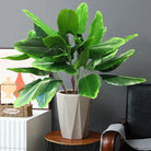 Dlight Decor 78cm Tall Tropical Monstera Plant with Banana Leaves