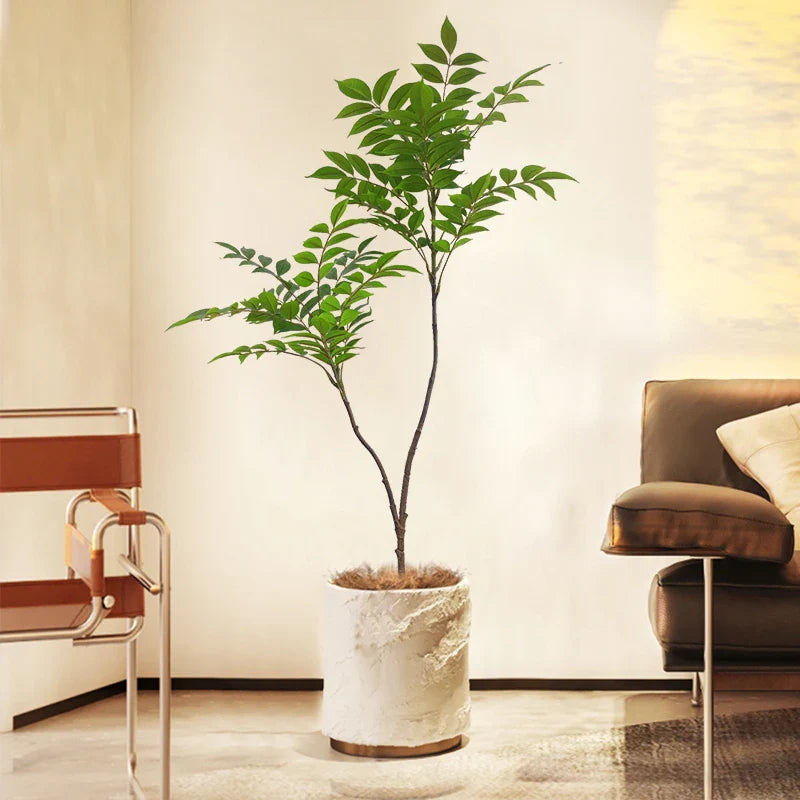 Dlight Decor Ficus Tree for Lush Indoor Outdoor Styling