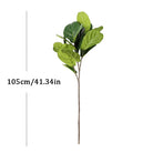 Dlight Decor Tall Ficus Tree for Indoor Outdoor Greenery
