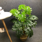 Dlight Decor White Monstera Palm for Bold Floor Styling