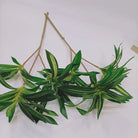 Dlight Decor 75cm Palm Tree with Real Touch Leaves 75cm