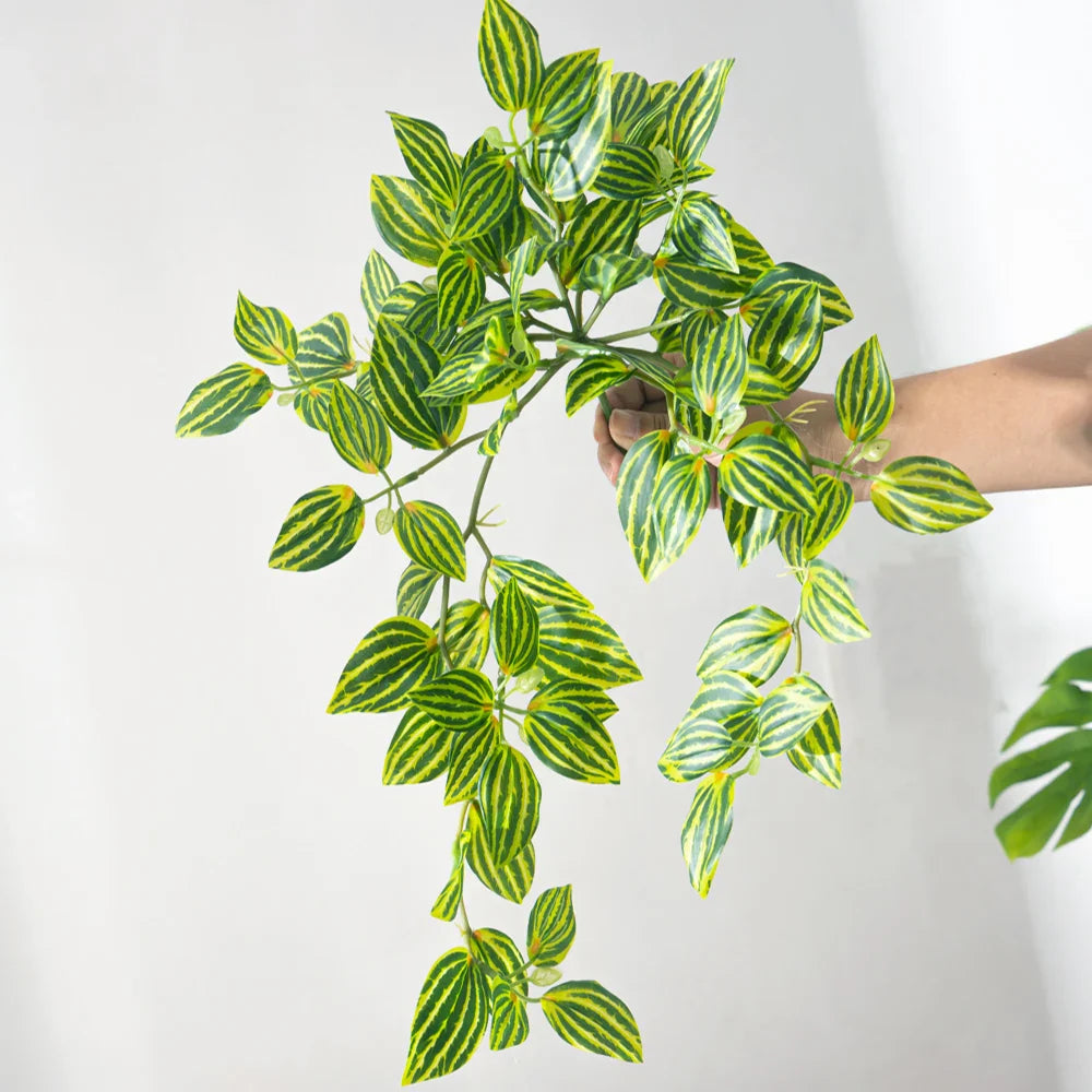 Dlight Decor Scindapsus Vine for Wall Hanging and Garden Styling 45cm D