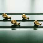 Brass Snail-Shaped Drawer Handle – Cabinet Wardrobe and Dresser Pulls Knobs