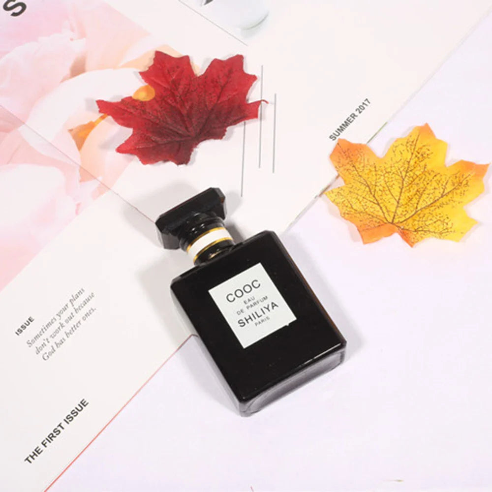 Dlight Decor Maple Leaves Set for Autumn Wall and Table Decor