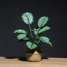 Dlight Decor Monstera Palm Branch for Tropical Home Styling A