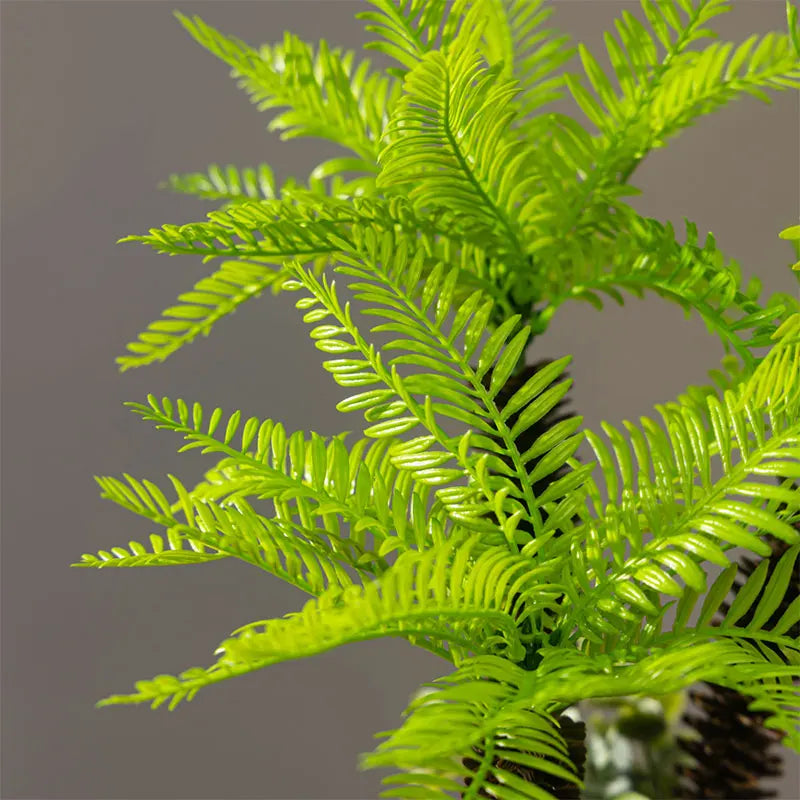 Dlight Decor Potted Palm Plant 33cm or 40cm with Succulents