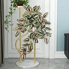 Dlight Decor Scindapsus Vine for Wall Hanging and Garden Styling