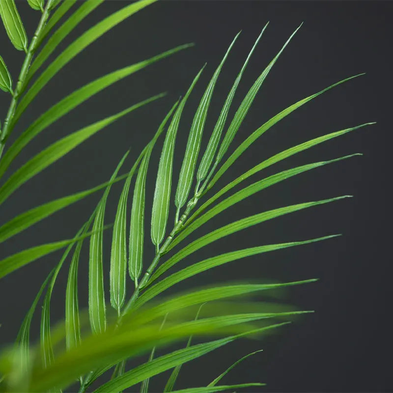 Dlight Decor 120cm Tall Palm Tree Branch with Coconut Leaves for Home and Office Decor