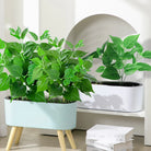 Dlight Decor 50cm Scindapsus Green Plant for Indoor Floor Display