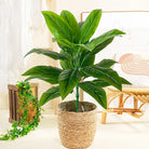 Dlight Decor Tropical Plant Branch for Home and Garden Display