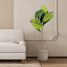 Dlight Decor 113cm Tropical Ficus Tree with Rubber Style Leaves