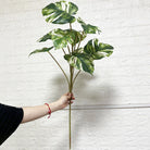 Dlight Decor 90cm Monstera Branch with Tropical Turtle Leaves A