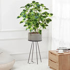 Dlight Decor Eucalyptus Tree for Tropical Indoor Floor Styling