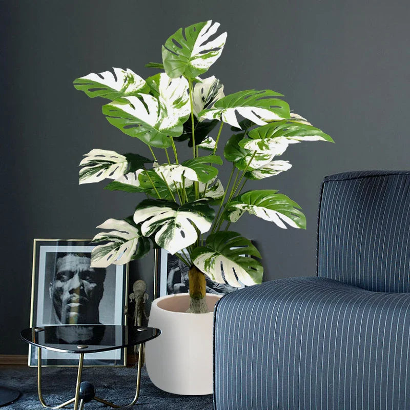 Dlight Decor Monstera Turtle Leaf Plant for Indoor and Garden Display