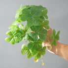 Dlight Decor 25cm Monstera Leaf Vine for Desktop and Holiday Decor