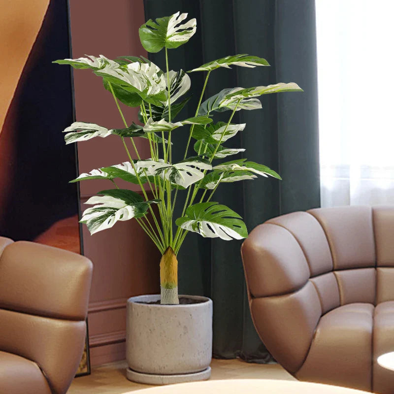 Dlight Decor Monstera Turtle Leaf Plant for Indoor and Garden Display