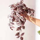 Dlight Decor Scindapsus Vine for Wall Hanging and Garden Styling 45cm A