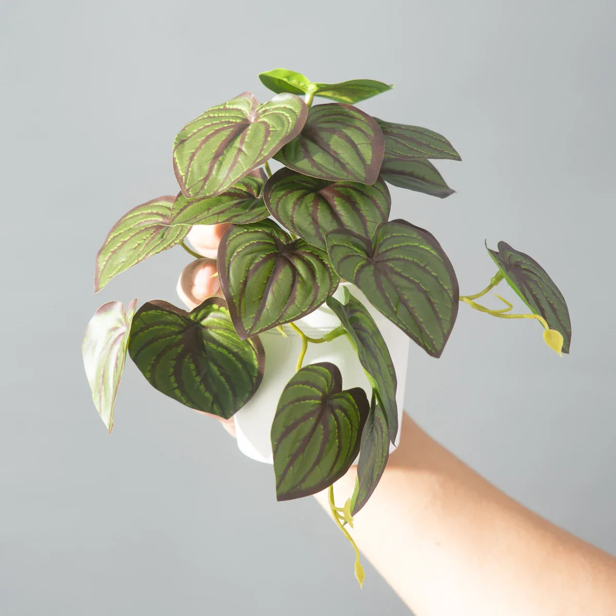 Dlight Decor 25cm Monstera Leaf Vine for Desktop and Holiday Decor