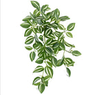 Dlight Decor Scindapsus Vine for Wall Hanging and Garden Styling
