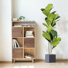 Dlight Decor Tall Ficus Tree for Indoor Outdoor Greenery