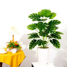 Dlight Decor Monstera Palm Plant for Home and Outdoor Styling A