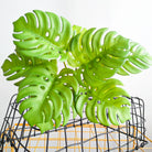 Dlight Decor 43cm Monstera Turtle Leaf Palm Branch for Home and Garden Decor