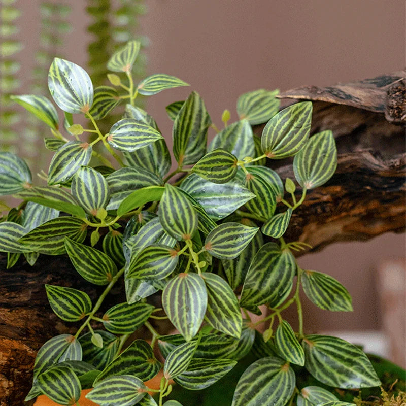 Dlight Decor Scindapsus Vine for Wall Hanging and Garden Styling