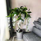Dlight Decor 95cm Hanging Jasmine Bouquet with Tropical Begonia Flowers