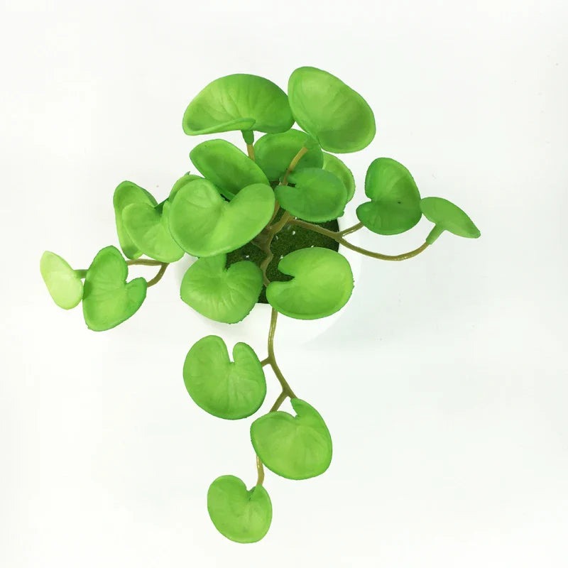 Dlight Decor 15cm Lucky Grass Foliage Bouquet for Home and Bonsai Decor Qian Tongqian