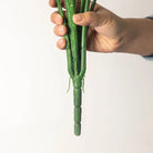 Dlight Decor 85cm Tropical Palm Banana Tree Branch with Monstera Leaves