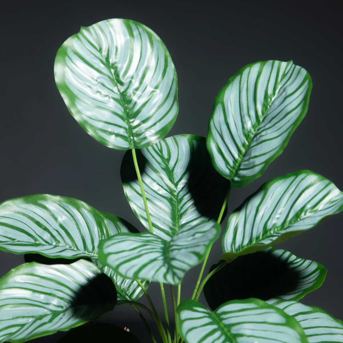 Dlight Decor Monstera Palm Branch for Tropical Home Styling A