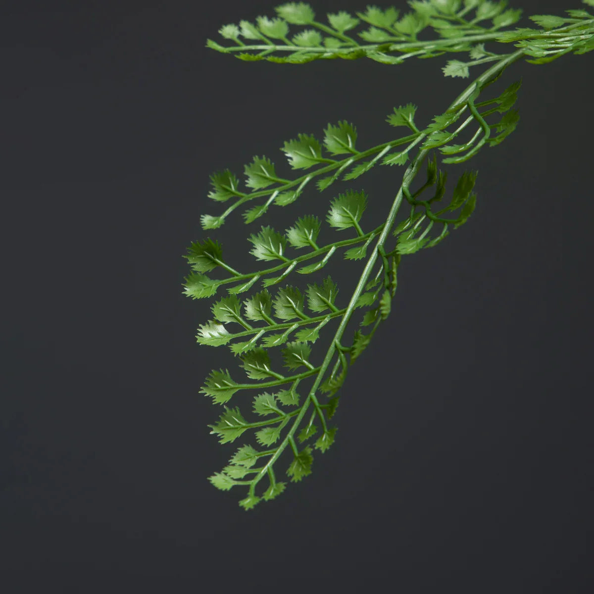 Dlight Decor 88cm Tropical Palm Fern Branch with Real Touch Leaves